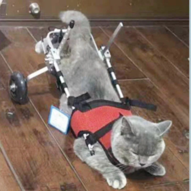 Cat & Small Pet Wheelchair – Hind Leg Injury & Rehab Support Stroller