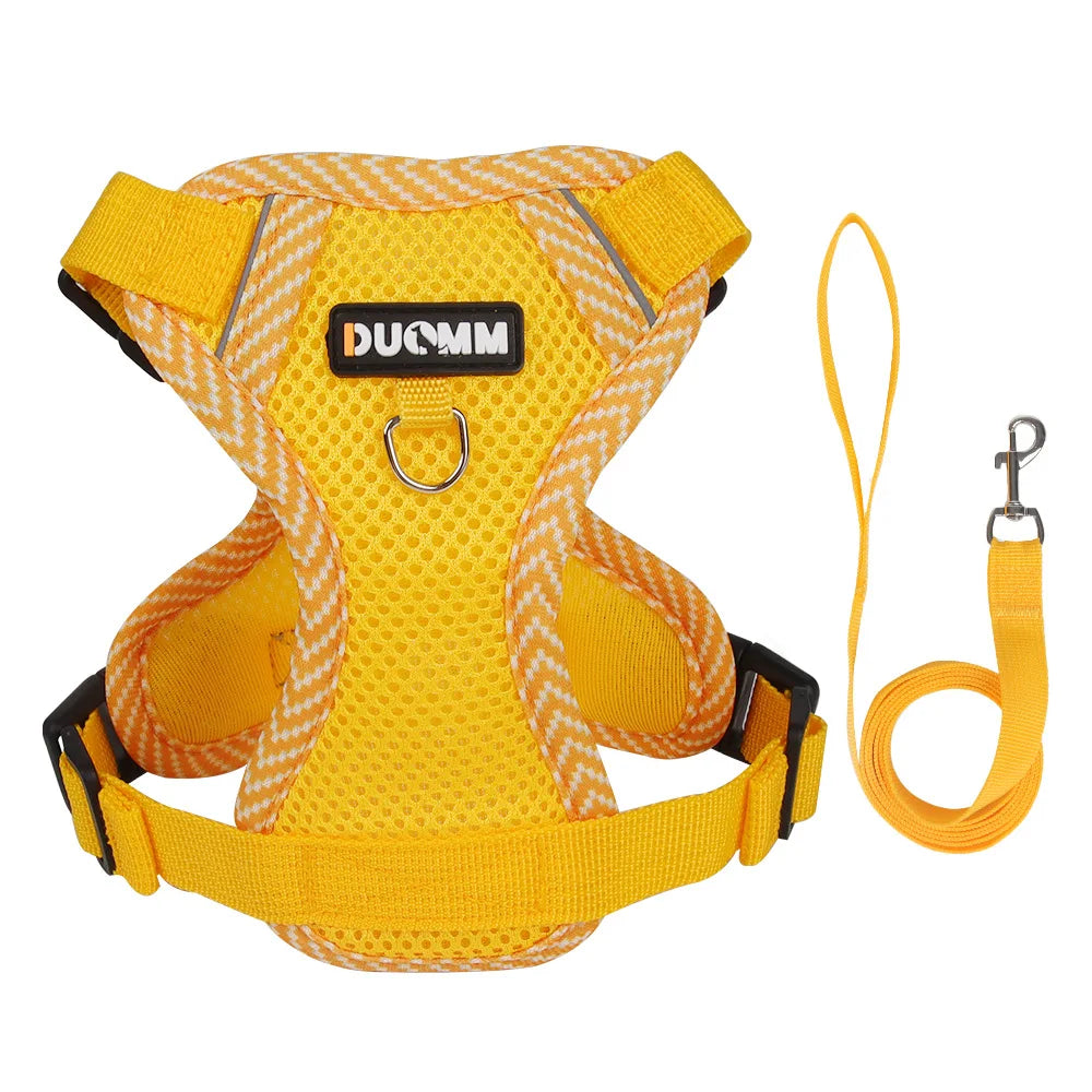 🐾 Fashion Reflective Cat Harness & Leash Set – Breathable Mesh for Cats & Small Dogs