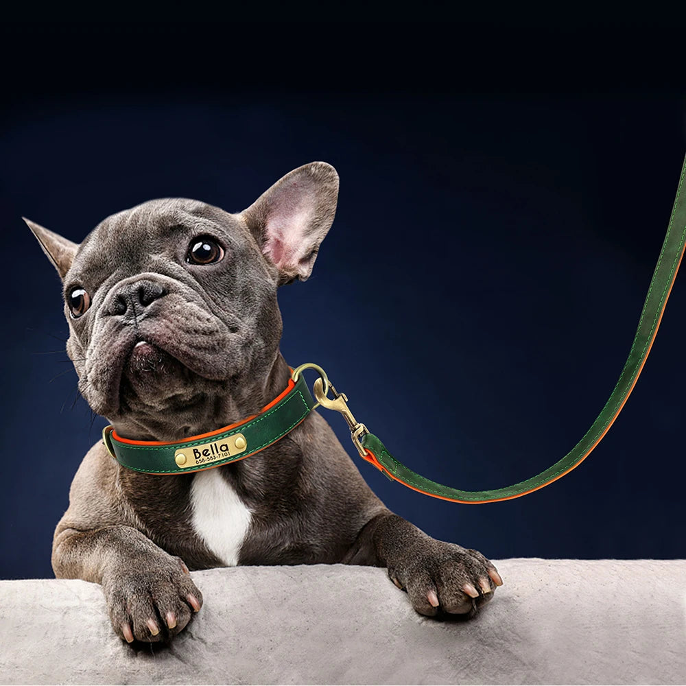 Custom Leather Dog Collar & Leash Set – Soft Padded with Engraved Nameplate