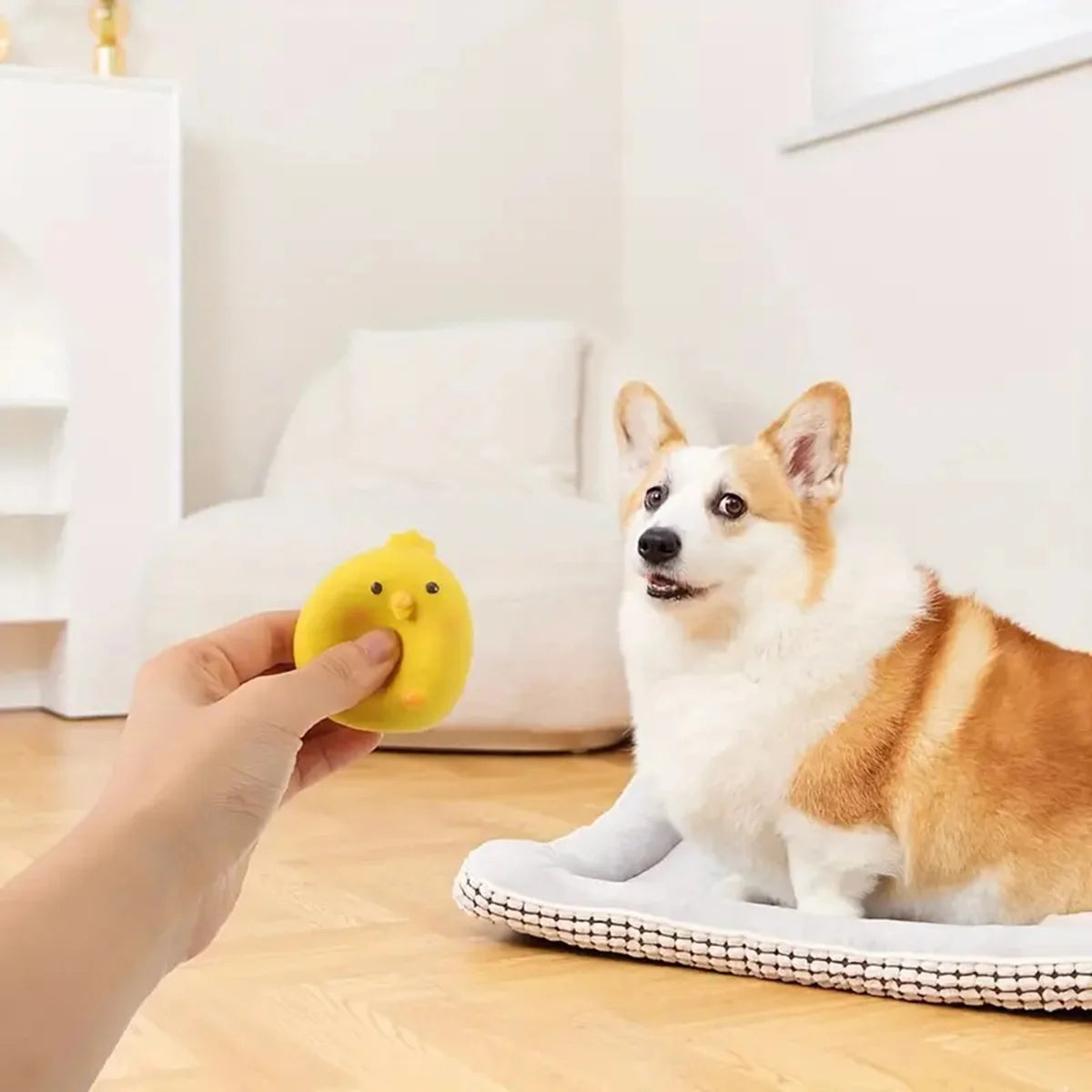 Squeaky Dog Toy – Durable Latex Chicken Ball for Chewing & Interactive Play