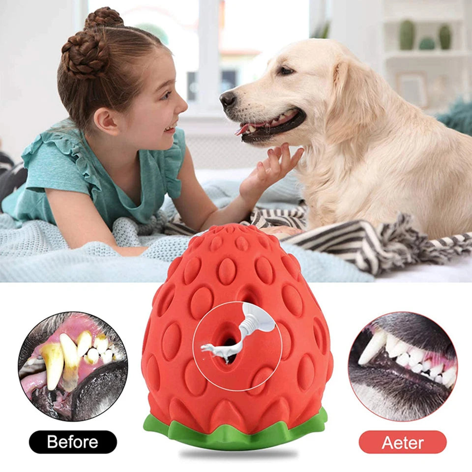 DualPet Strawberry-Shaped Dog Chew Toy – Durable Rubber Food Dispenser for Interactive Play
