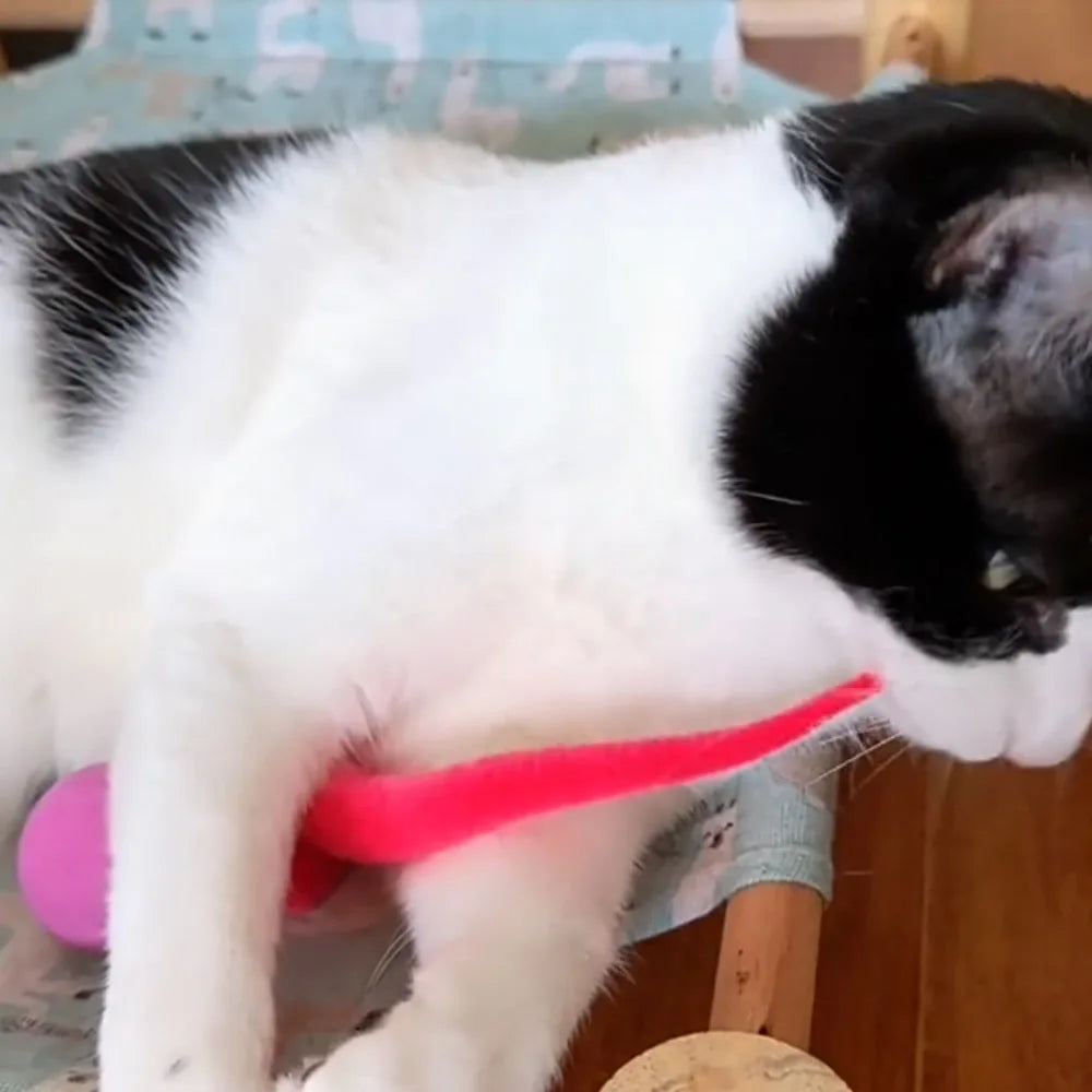 Plush Long Tail Cat Toy – Interactive Ball with Wood Ring for Training