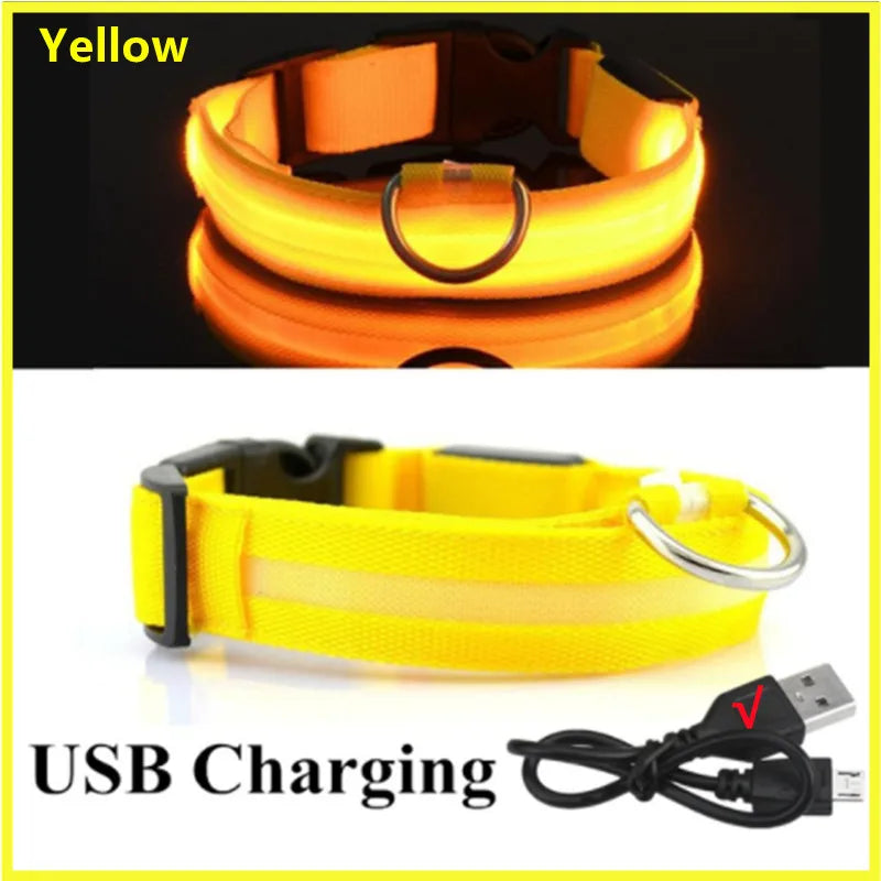 USB Rechargeable LED Glowing Pet Collar – Adjustable Night Light Safety Collar for Dogs & Cats