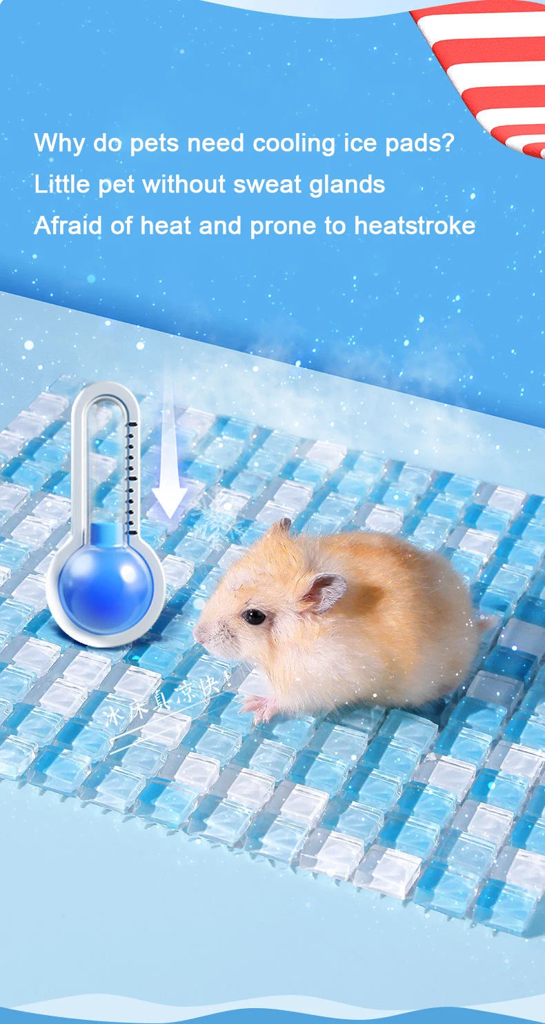 Summer Cooling Ice Mat for Small Pets – Heat Dissipation Pad for Hamsters, Rabbits, Chinchillas & Guinea Pigs