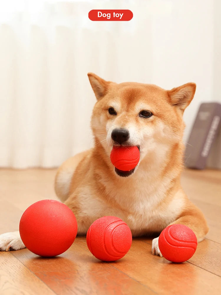 Indestructible Rubber Dog Ball – Durable Bouncy Chew Toy ⚽🐾