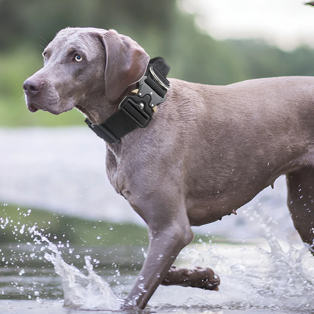 Tactical Dog Collar – Durable Outdoor Collar with Rugged Zinc Alloy Buckle & Soft Lining for Medium & Large Dogs