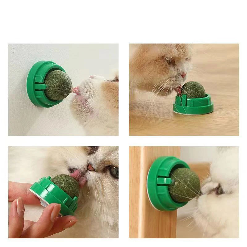 Catnip Wall Stick-On Ball Toy – Natural Cat Grass Treat for Digestion & Fun