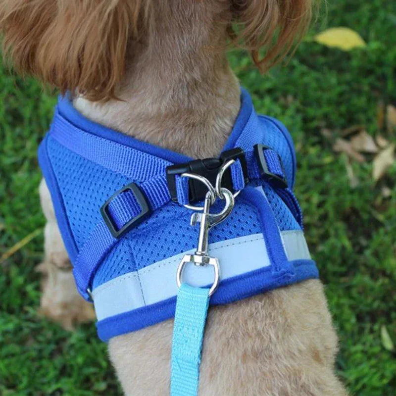 🐾 Adjustable Mesh Dog Harness & Leash Set – Breathable Vest with Collar and Traction Rope (XS–XL)