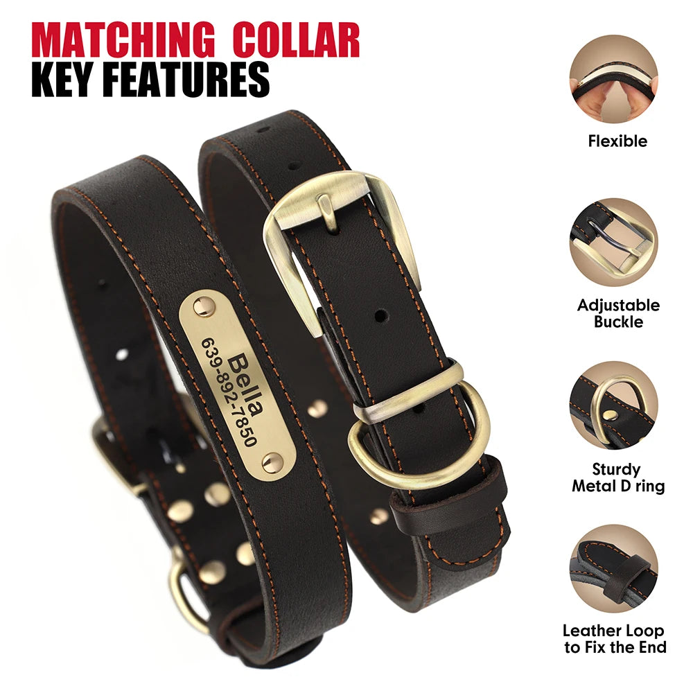 Personalized Leather Dog Collar & Leash Set – Engraved ID for Small to Large Dogs