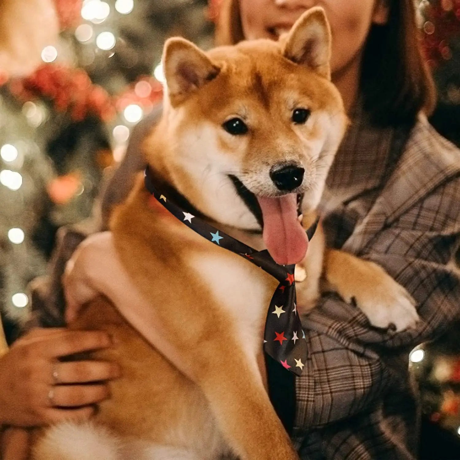 Pet Bow Tie Set 🎀 25/50/100pcs Adjustable Dog & Cat Grooming Accessories
