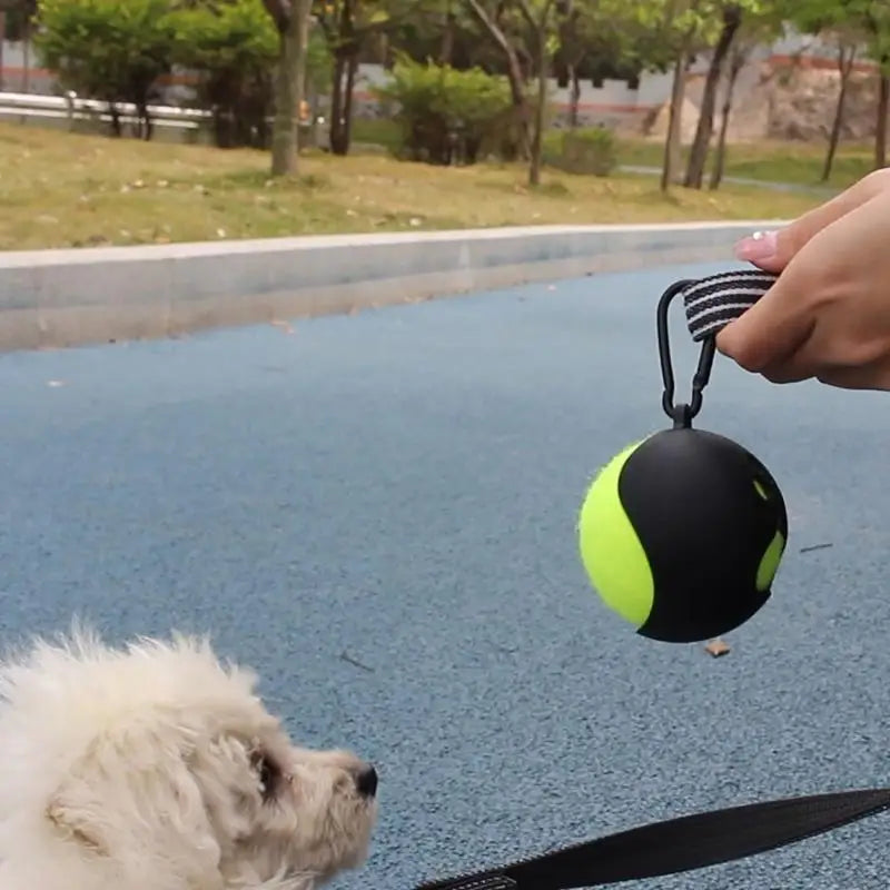 QXNB Tennis Ball Holder with Dog Leash Attachment – Hands-Free Pet Ball Cover Holder for Walks & Training