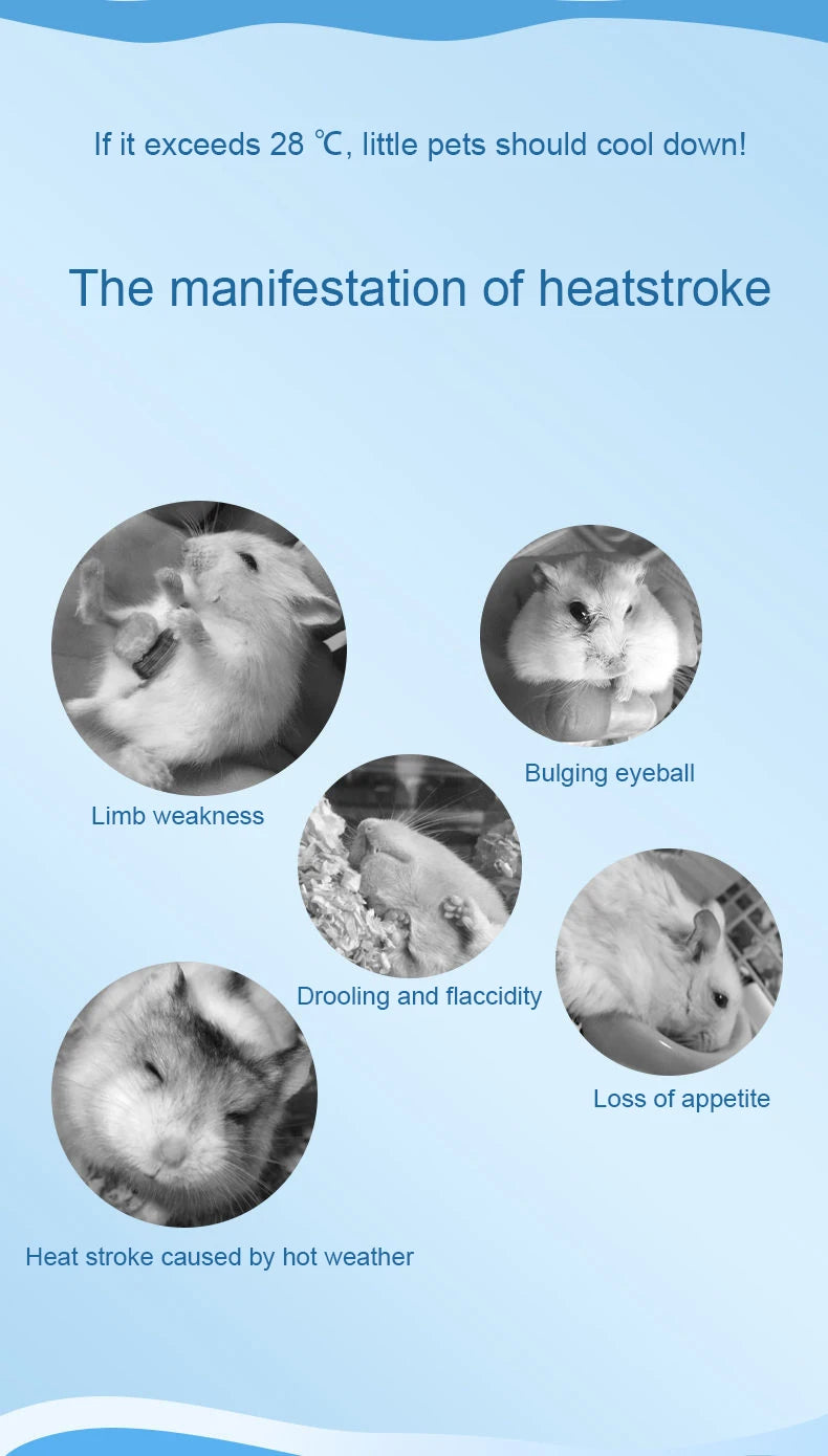 Summer Cooling Ice Mat for Small Pets – Heat Dissipation Pad for Hamsters, Rabbits, Chinchillas & Guinea Pigs