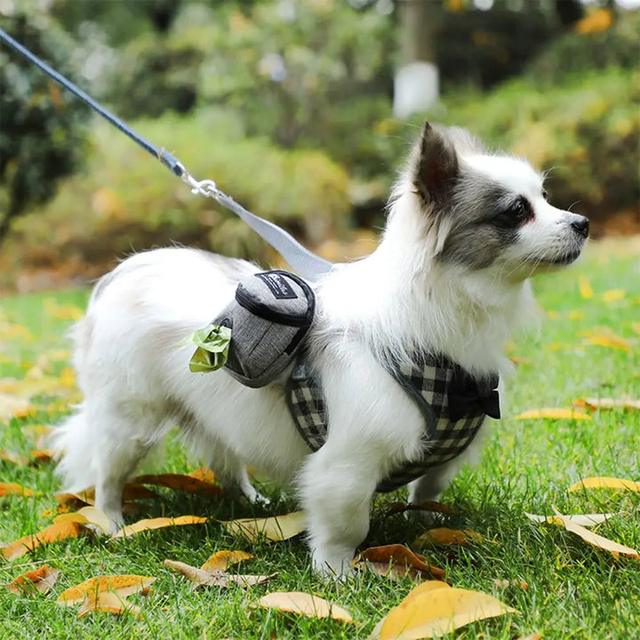Portable Dog Training Treat Pouch – Outdoor Waist Bag with Poop Bag Dispenser for Puppy Snack Rewards