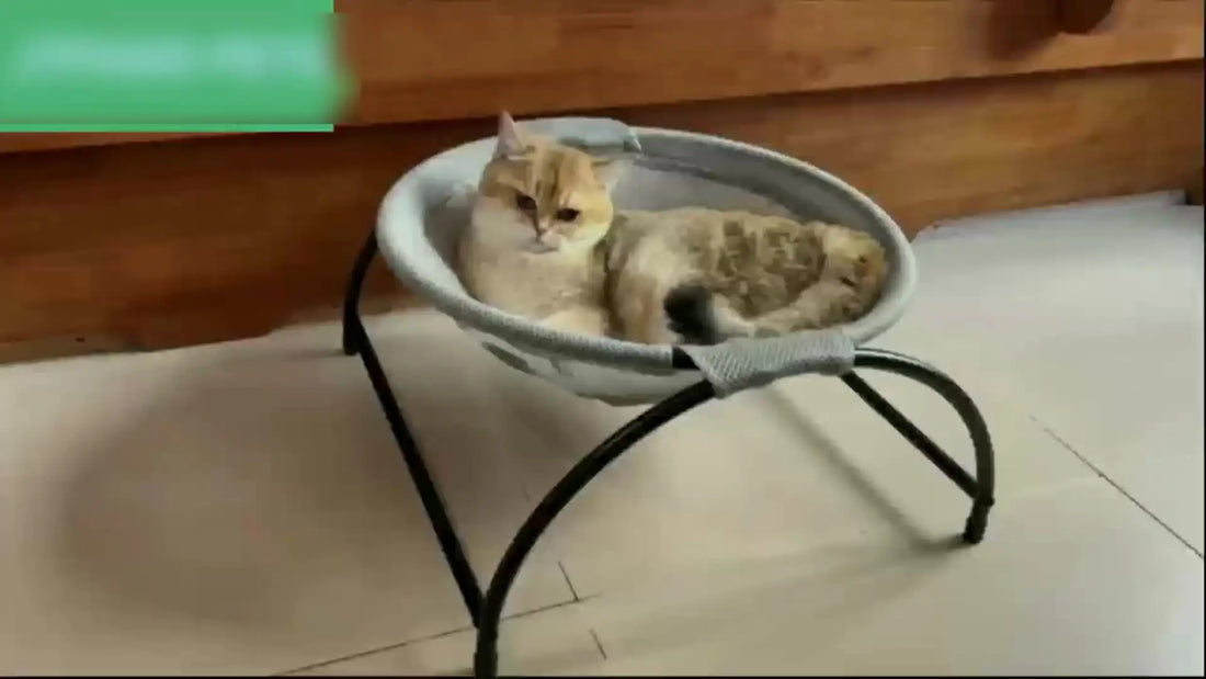 Breathable Cat Hammock Bed – Cooling Elevated Pet Cot Sofa for Cats & Small Pets