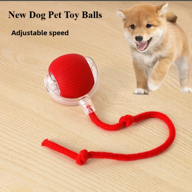 Smart Rolling Ball Toy – Rechargeable Interactive Toy for Cats & Dogs