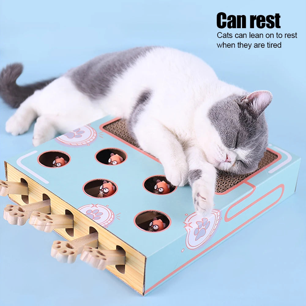 Interactive Cat Game Box Maze – 3-in-1 Whack-a-Mole, Scratcher & Treat Puzzle Toy