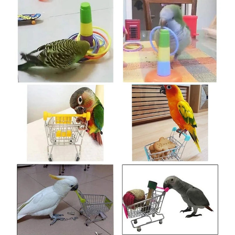 4-in-1 Parrot Bird Toy Set – Basketball, Skateboard, Stacking Ring, and Shopping Cart Interactive Training Toys