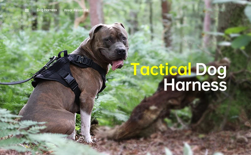 🐾 Tactical Military Dog Harness & Leash Set – All Breeds Training Vest for Outdoor Adventures