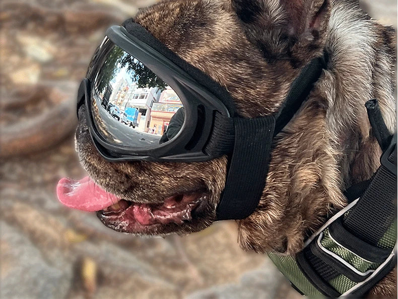 Dog Goggles – UV-Protective Windproof Sunglasses for Large Dogs