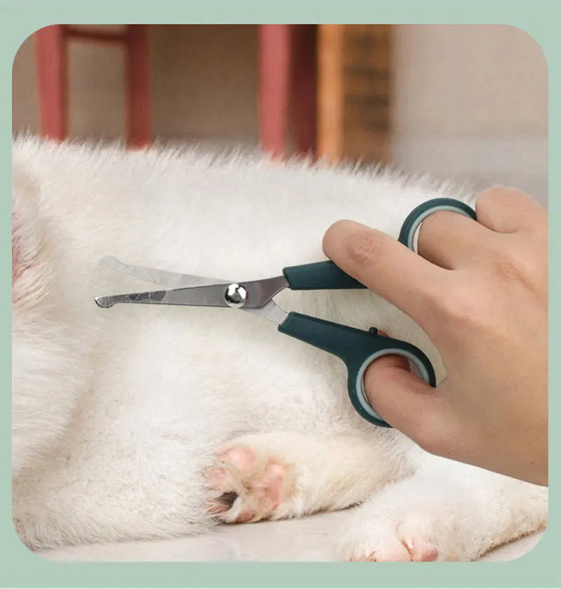 🐾 8-in-1 Dog & Cat Grooming Comb Set – All-in-One Pet Cleaning & Hair Removal Brush Kit