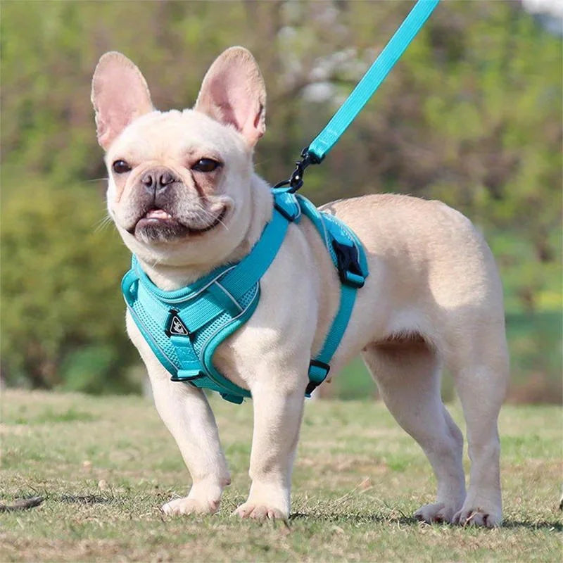 🐾 No Pull Dog Harness & Leash Set – Adjustable Reflective Vest for Small Dogs & Cats