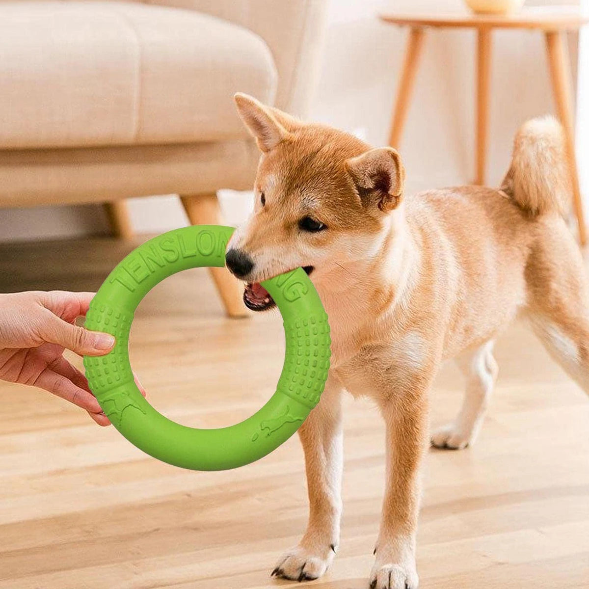 Floating Dog Training Ring – Chew-Resistant Water Toy for Small Dogs