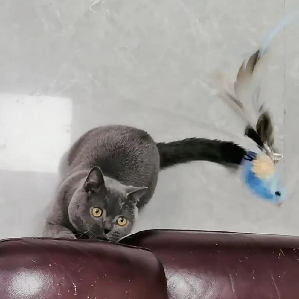 2pcs Replacement Feather Heads for Cat Teaser Stick Toy – Bird Pet Toy