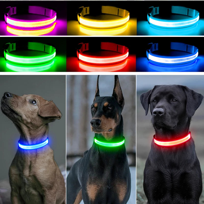 USB Rechargeable LED Glowing Pet Collar – Adjustable Night Light Safety Collar for Dogs & Cats