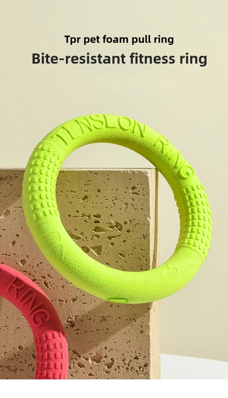 Dog Flying Disk Training Ring – Floating TPR Toy 🥏🐾