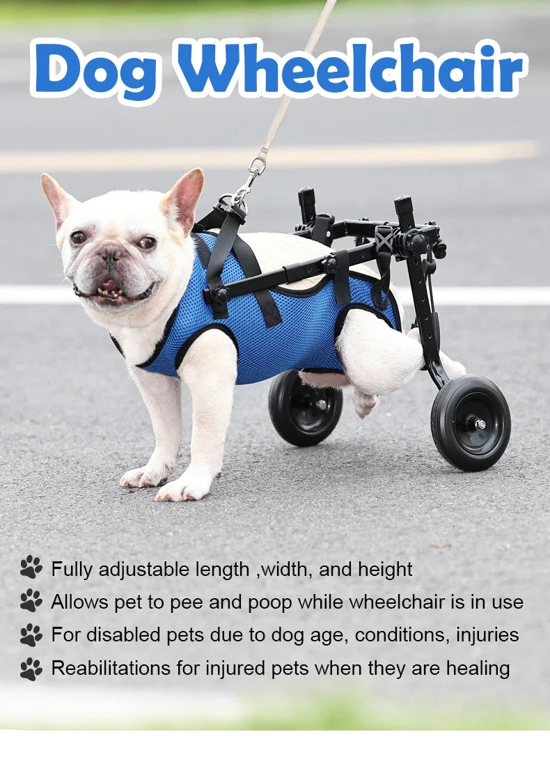 Adjustable Pet Wheelchair Cart – Mobility Aid with Wheels for Disabled Dogs and Cats