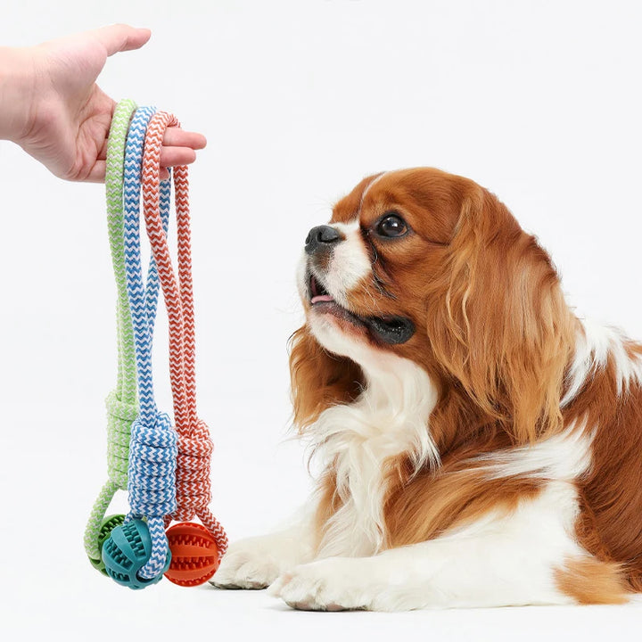 Pet Tooth Cleaning Rubber Ball Toy with Rope – Leaking Treat Chew Toy for Small & Large Dogs
