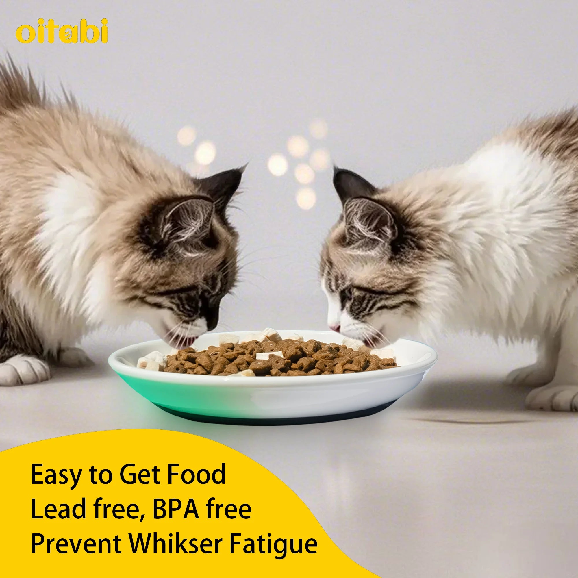 🐾 Oitabi 3PCS No-Spill Cat Bowl Set – Shallow Ceramic Dishes for Cats & Kittens