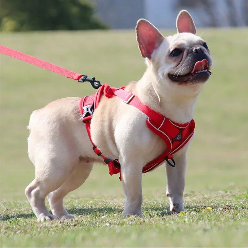 🐾 No Pull Dog Harness & Leash Set – Reflective Adjustable Mesh Vest for Small Dogs & Cats