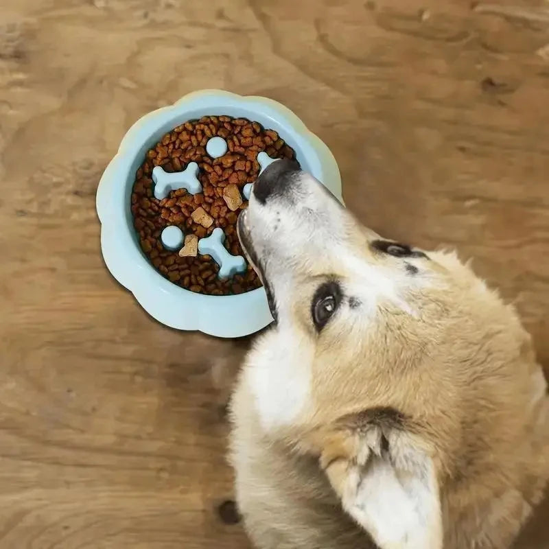 Colorful Slow Feeder Bowl for Cats & Dogs – Anti-Choking Puzzle Food Bowl for Anxiety Relief & Healthy Eating