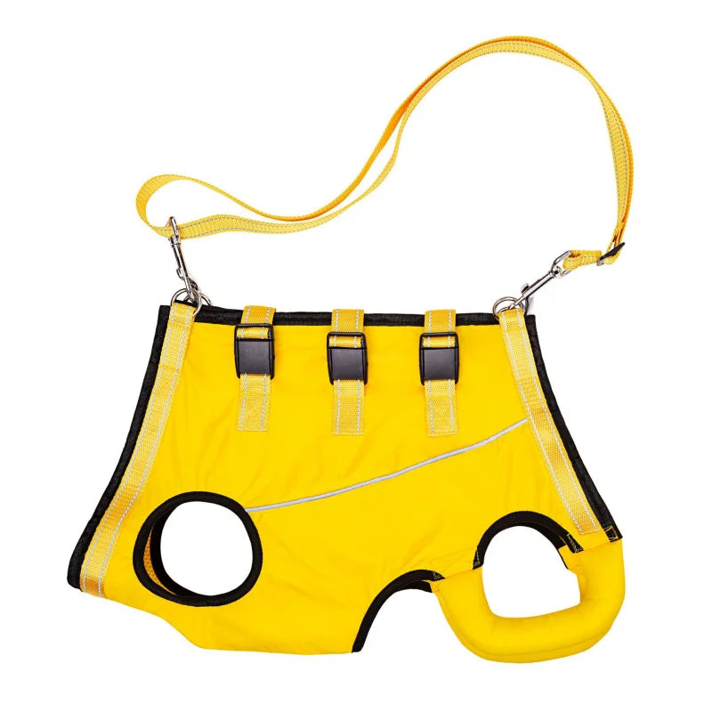 Dog Lift Harness Support Sling – Padded Aid for Disabled & Injured Dogs