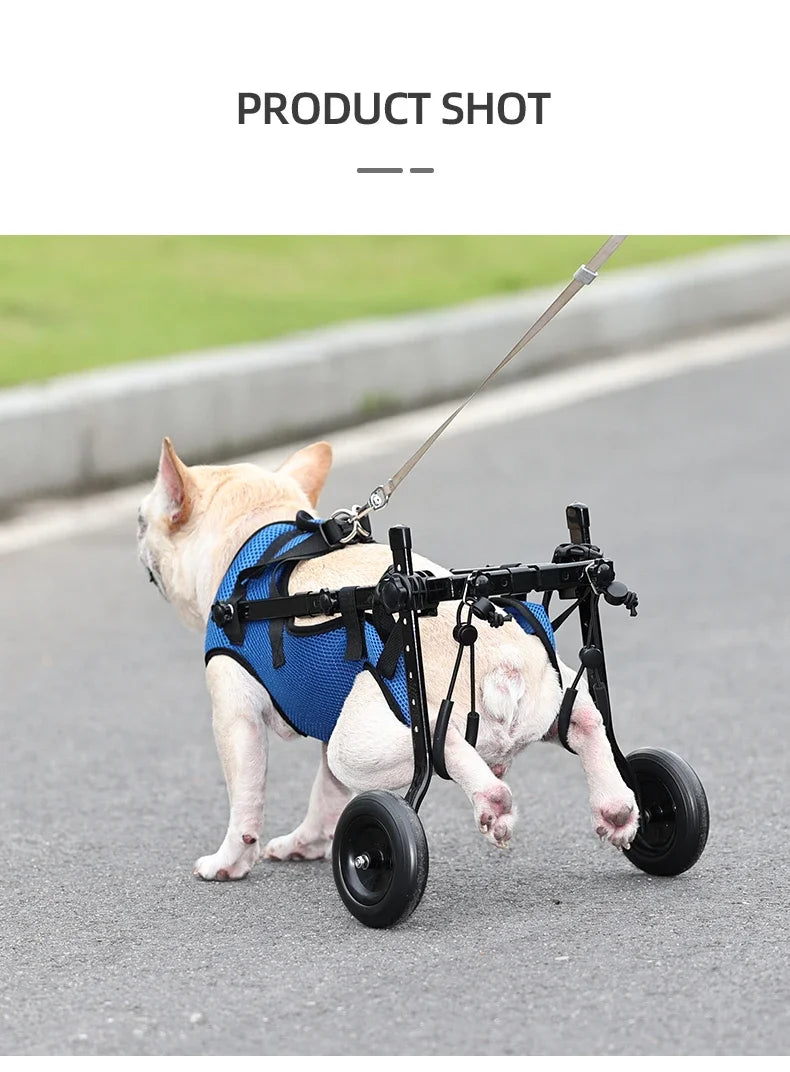 Adjustable Pet Wheelchair Cart – Mobility Aid with Wheels for Disabled Dogs and Cats