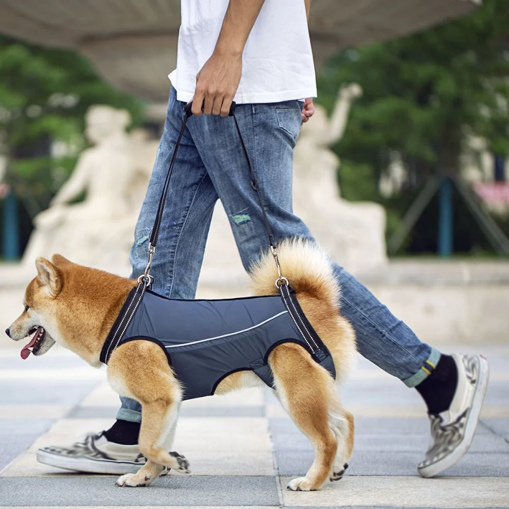 Dog Lift Harness Support Sling – Padded Aid for Disabled & Injured Dogs