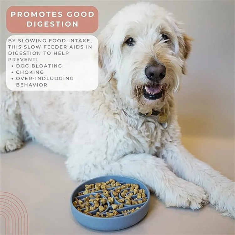 Slow Feeder Pet Bowl – Anti-Slip & Anti-Choking for Cats & Puppies 🐾🍽️