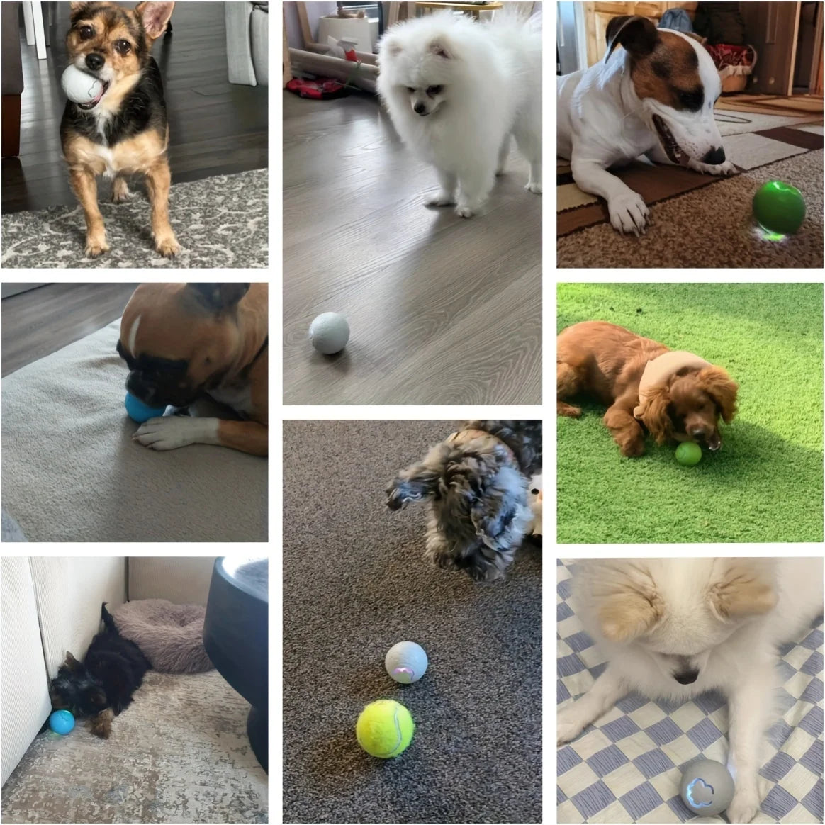 Smart Dog Toy Ball – USB Automatic Bouncing Rolling Ball with RGB Lights