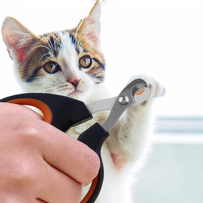 Pet Nail Scissors – Half Moon Stainless Steel Clippers for Cats, Dogs & Small Pets