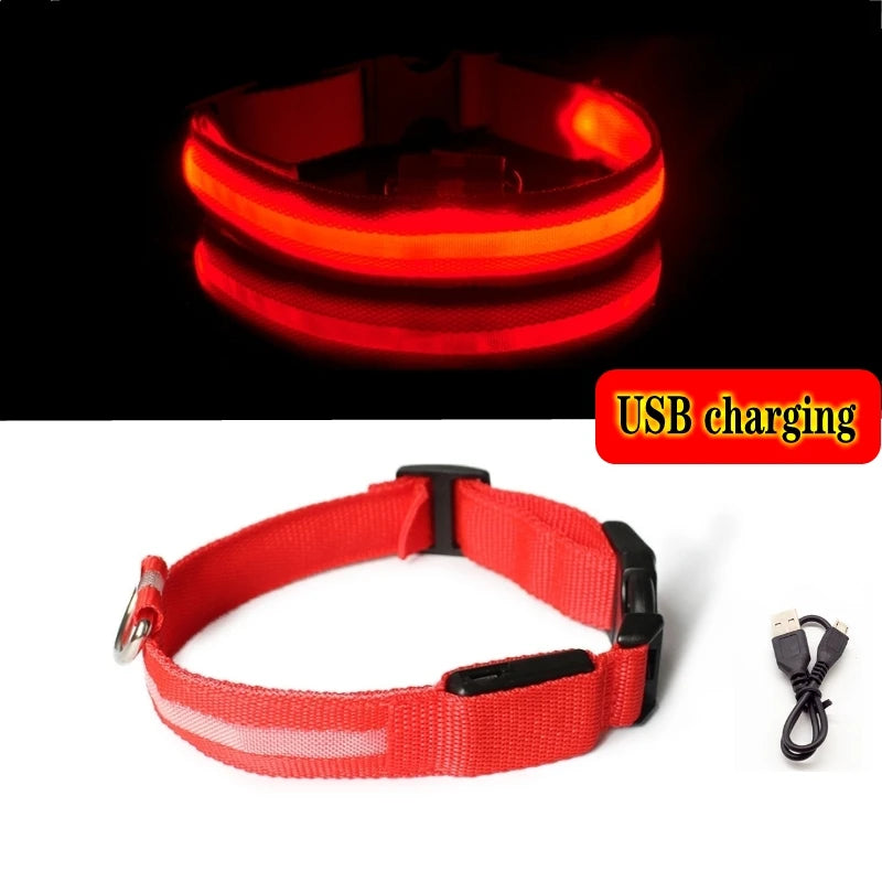 LED Dog Collar Light – USB Rechargeable/Battery Night Safety Glow Collar for Dogs & Puppies, Anti-Lost Pet Accessory