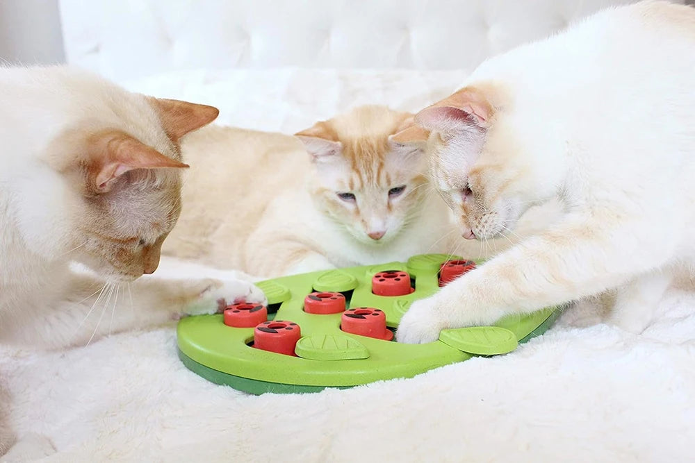 Rainy Day Puzzle & Play – Interactive Cat Treat Puzzle Toy with Scratch Board