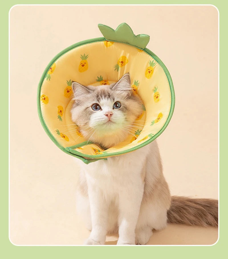 🩺 Pet Elizabethan Collar – Soft Recovery Cone for Cats & Small Dogs 🐶🐱
