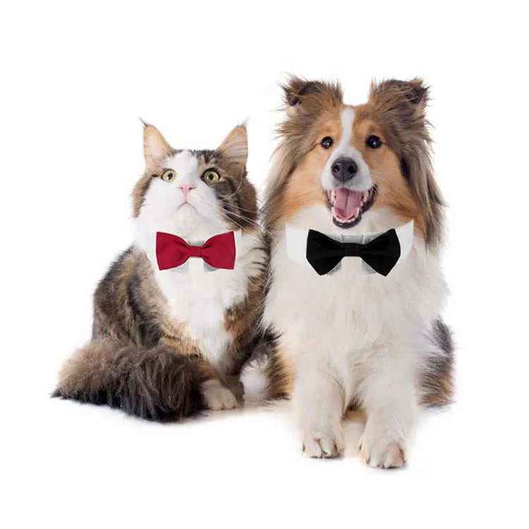 🎩 Sucado Adjustable Dog & Cat Formal Necktie – Tuxedo Bow Tie Collar for Weddings, Parties & Holidays 🐾💐