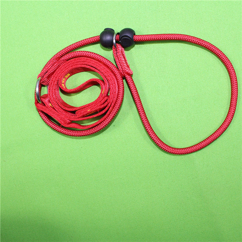 🐕 Heavy-Duty Dog Training P Rope – Adjustable Control Collar for Medium & Large Dogs
