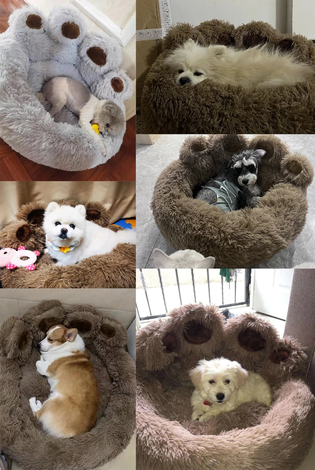 Cute Bear Paw Dog & Cat Bed – Soft Fluffy Pet Sofa Bed for Small to Large Pets