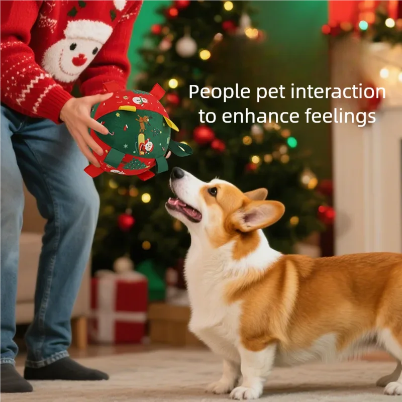 ⚽ Dog Toy Ball with Bell Sound – Interactive Pet Play & Training Ball 🎁🐾