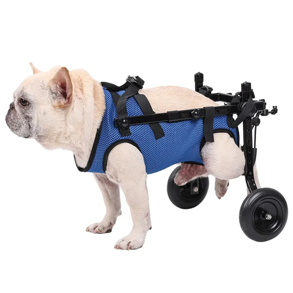 Adjustable Pet Wheelchair Cart – Mobility Aid with Wheels for Disabled Dogs and Cats