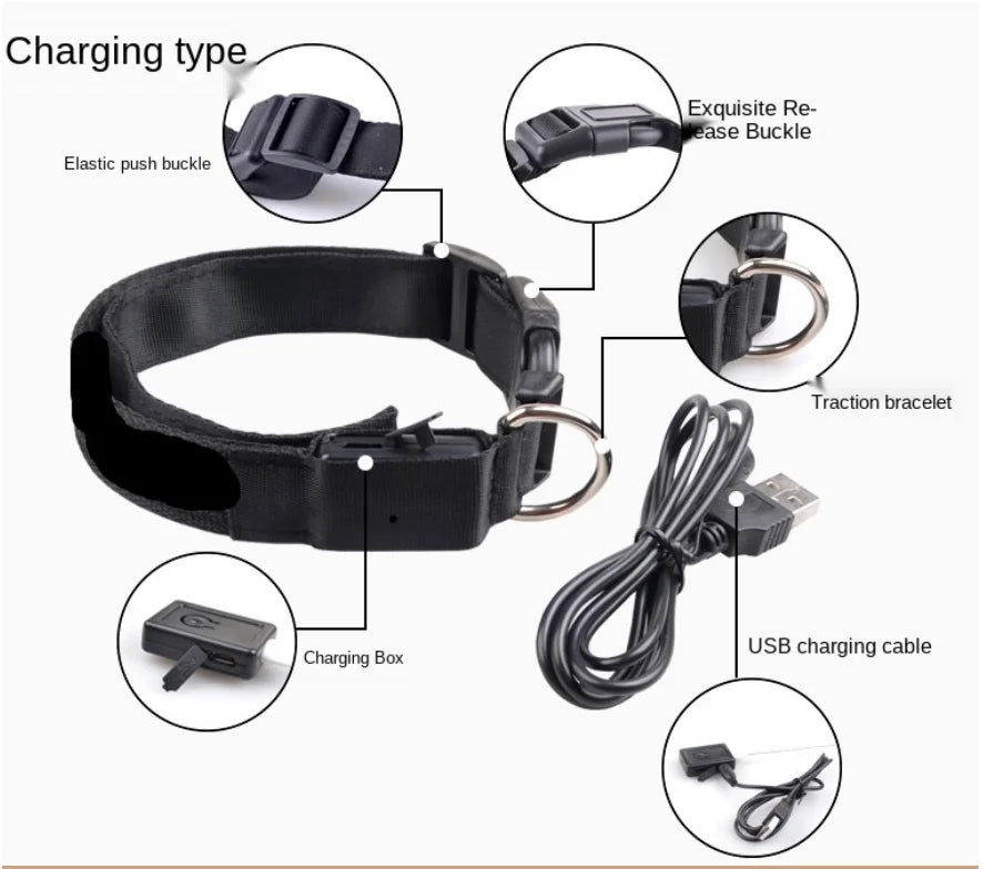 USB Rechargeable LED Glowing Pet Collar – Adjustable Night Light Safety Collar for Dogs & Cats