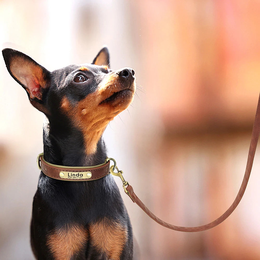Custom Leather Dog Collar & Leash Set – Soft Padded with Engraved Nameplate